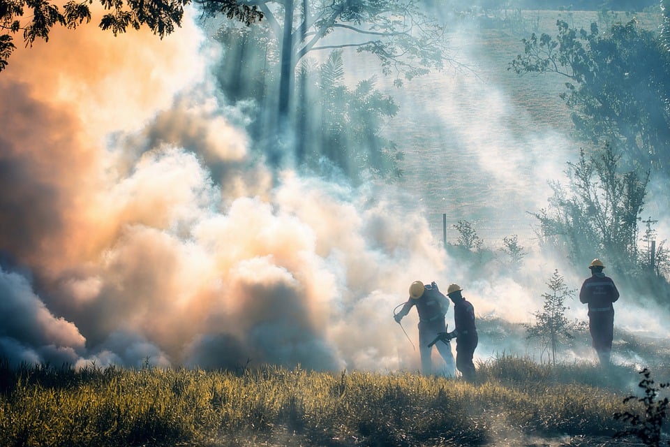 Incendios forestales ¿Experimentar calma en momento de crisis?