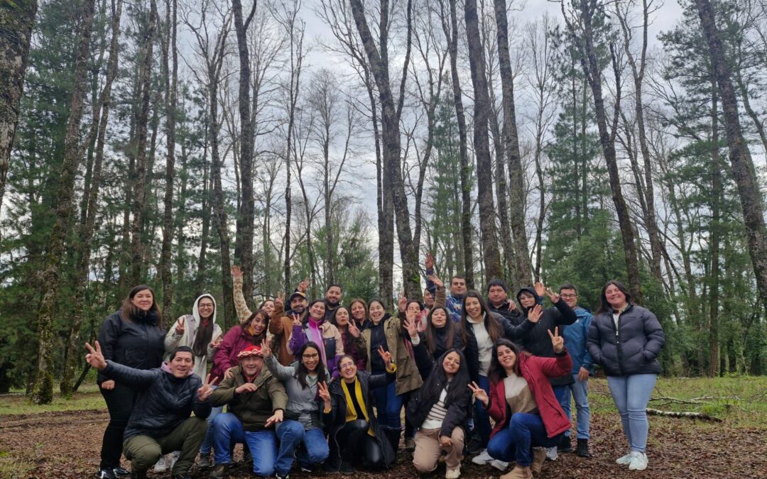 Bienestar Laboral Municipalidad Collipulli